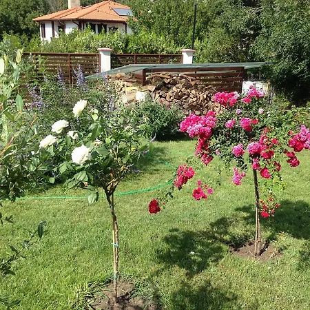 Zapovedni Rai Apartment Primorsko